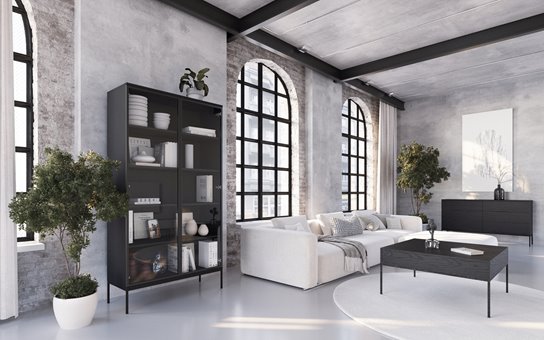 Czarna witryna do salonu